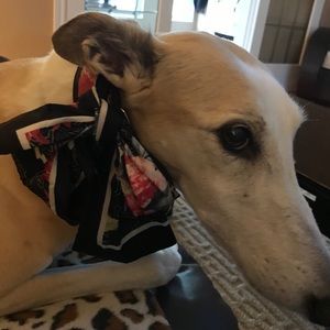 Meet your Posher, Karen